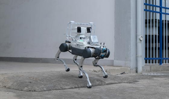 新加坡國家電網(wǎng)（SPPG）項目落地，國產(chǎn)四足機器人首次海外行業(yè)應(yīng)用